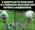 Click for bigger image...